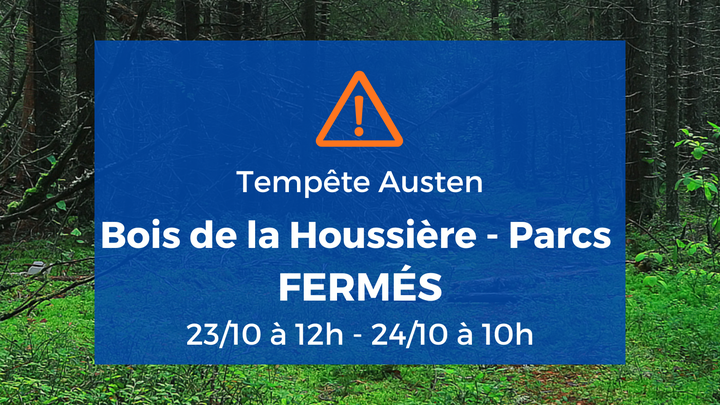 Tempête Austen : fermeture temporaire du Bois de la Houssière et des parcs du Champ de la Lune et des Étangs Martel