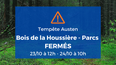 Tempête Austen : fermeture temporaire du Bois de la Houssière et des parcs du Champ de la Lune et des Étangs Martel