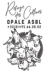 Opale ASBL - Le refuge des Collines
