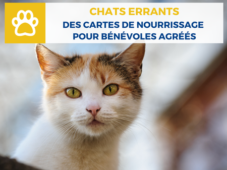 Illustration de l'actualité - cliquer pour agrandir