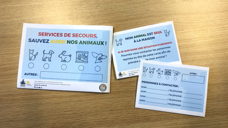 Illustration de l'actualité - cliquer pour agrandir