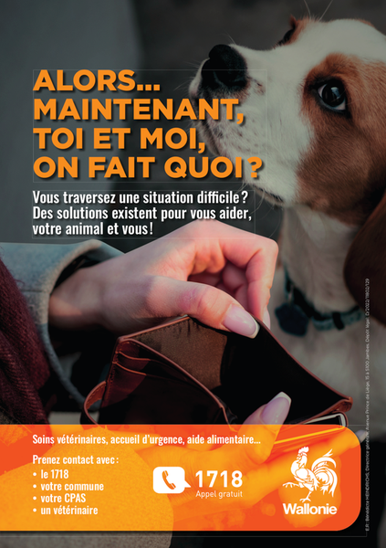 Affiche campagne