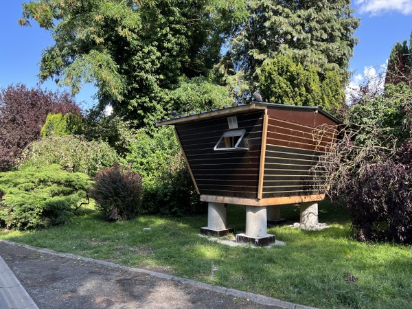 Pigeonnier+urbain