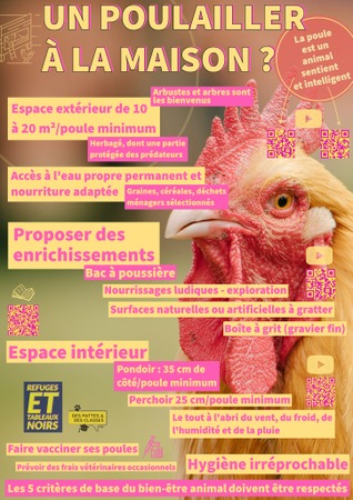 Illustration de l'actualité - cliquer pour agrandir