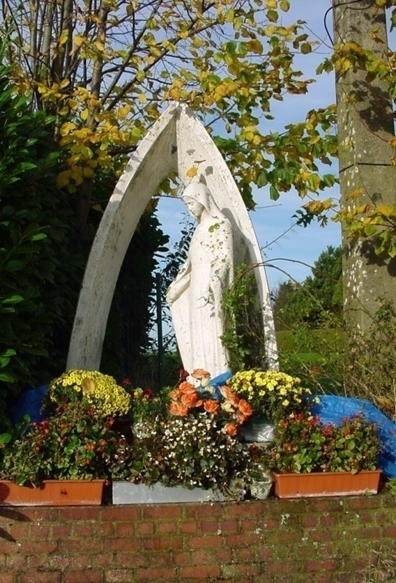 Image1