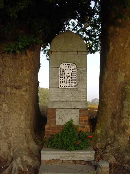 Image4