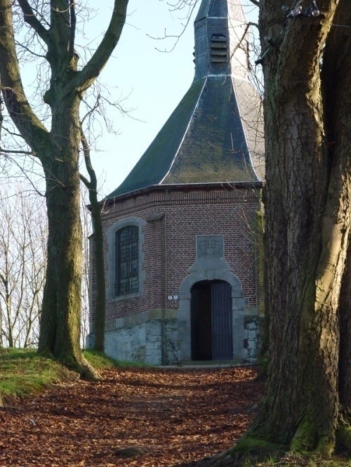 Image6