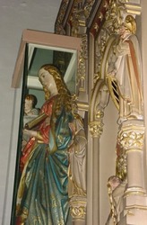 Image7