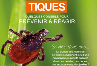 Affiche horizonatale Tiques