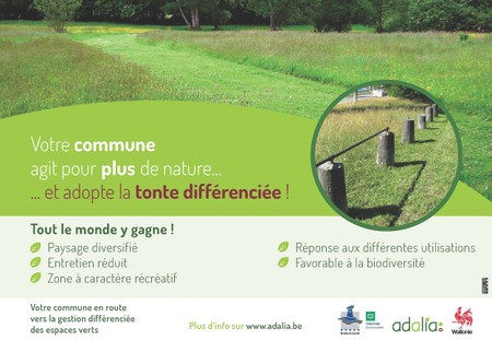 Illustration de l'actualité - cliquer pour agrandir