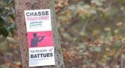 Battues et chasses dans le Bois de la Houssière
