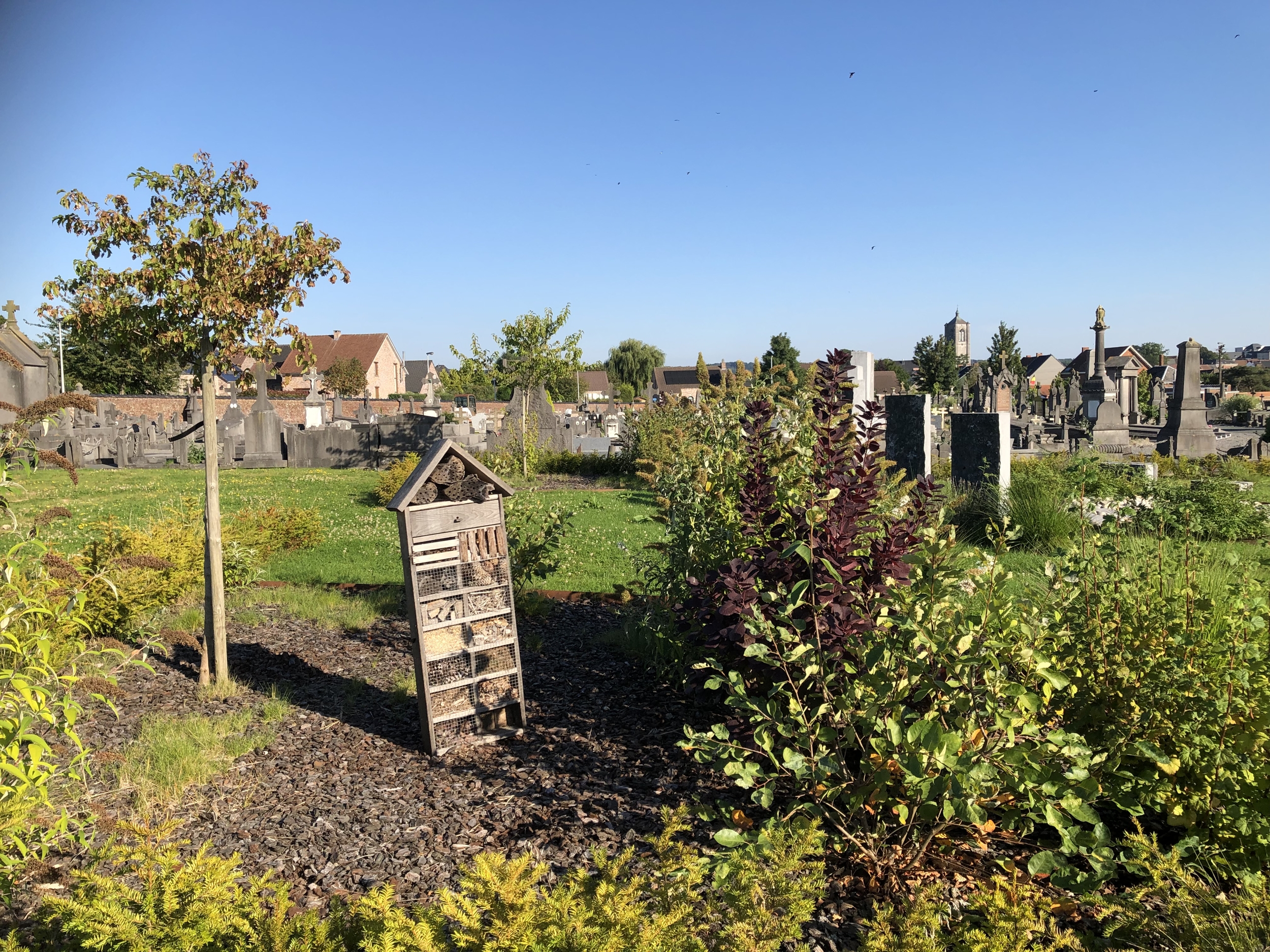 Cimetière Nature