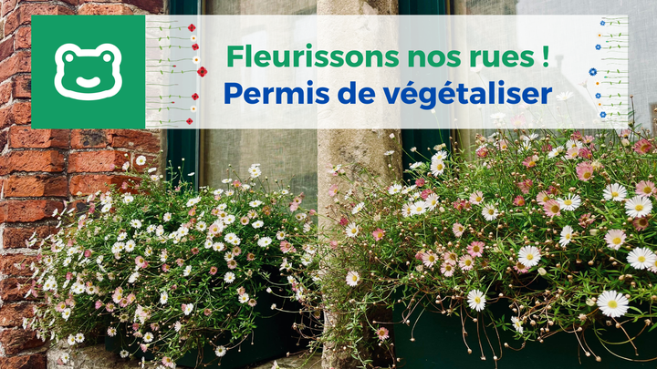 Fleurissons nos rues! Notre Ville adopte le "permis de végétaliser"