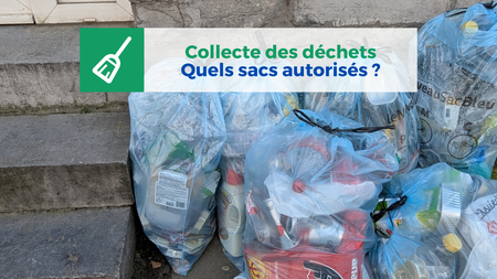 Illustration de l'actualité - cliquer pour agrandir